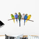 budgie 