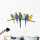 budgie 