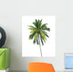coconut tree 