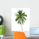 coconut tree 