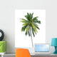 coconut tree 