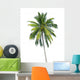 coconut tree 