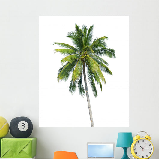 coconut tree 