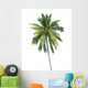 coconut tree 