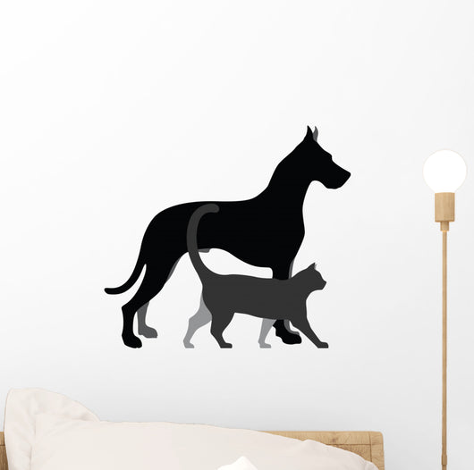 Cat and Dog 