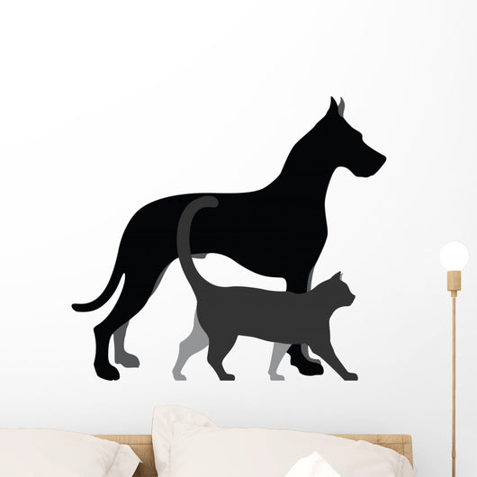 Cat and Dog 