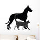 Cat and Dog 