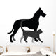 Cat and Dog 