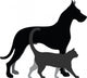 Cat and Dog 