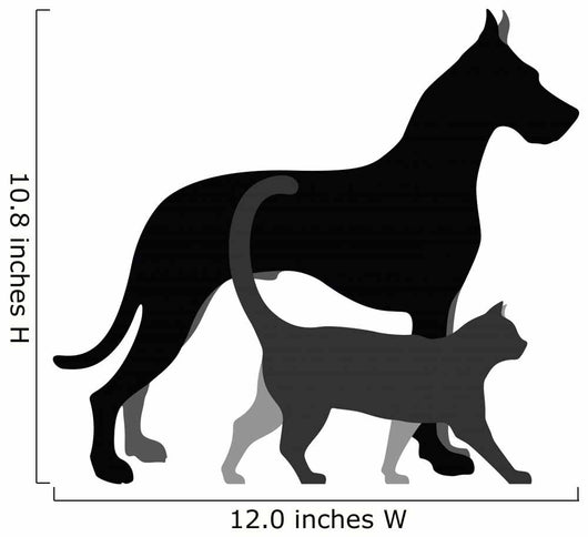 Cat and Dog 