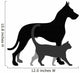 Cat and Dog 