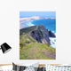 Cape Reinga Steilk Ste Wall Decal