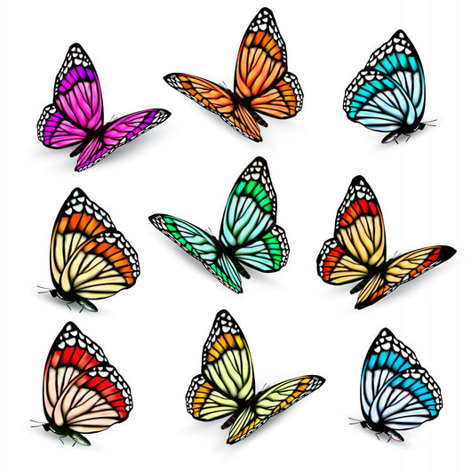 Set of realistic colorful vector butterflies. Wall Decal