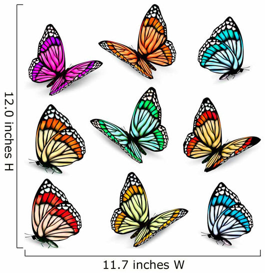 Set of realistic colorful vector butterflies. Wall Decal