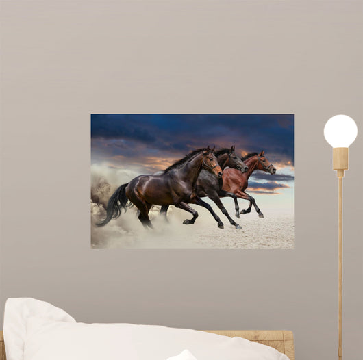 Horses running at a gallop along the sandy field Wall Mural