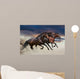 Horses running at a gallop along the sandy field Wall Mural