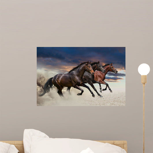 Horses running at a gallop along the sandy field Wall Mural