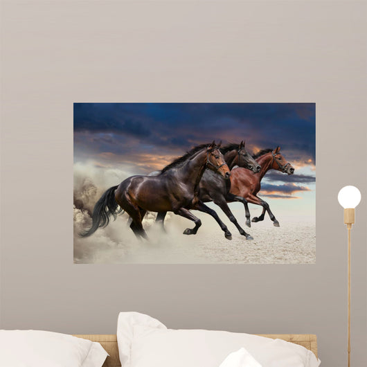 Horses running at a gallop along the sandy field Wall Mural