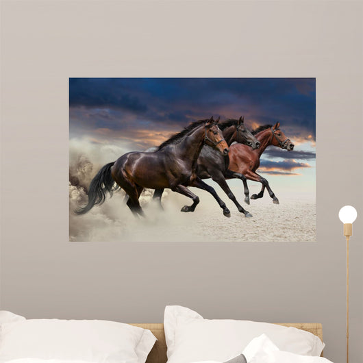 Horses running at a gallop along the sandy field Wall Mural