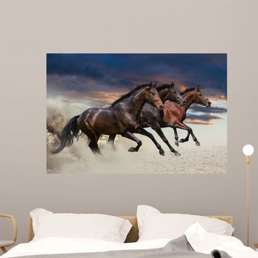Horses running at a gallop along the sandy field Wall Mural