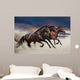 Horses running at a gallop along the sandy field Wall Mural