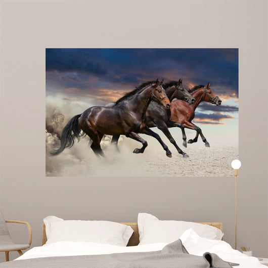 Horses running at a gallop along the sandy field Wall Mural