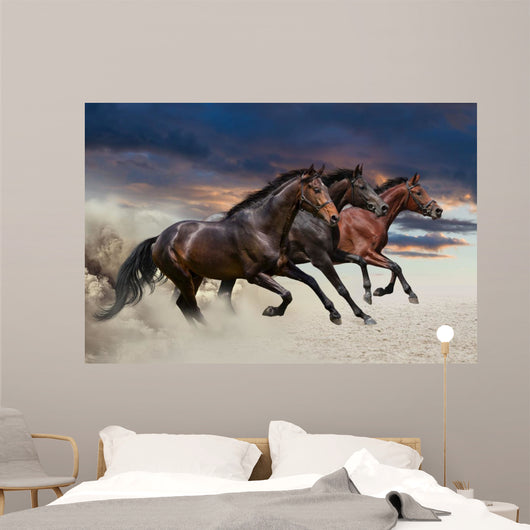 Horses running at a gallop along the sandy field Wall Mural