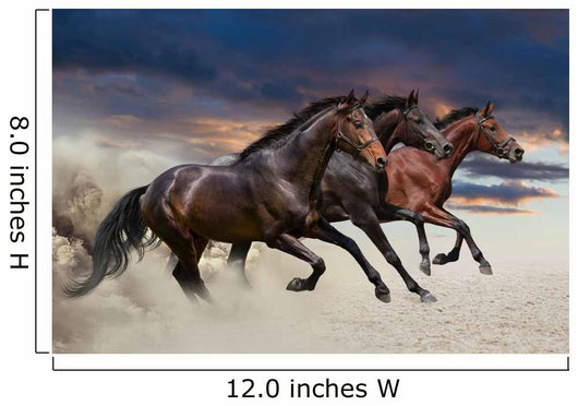 Horses running at a gallop along the sandy field Wall Mural