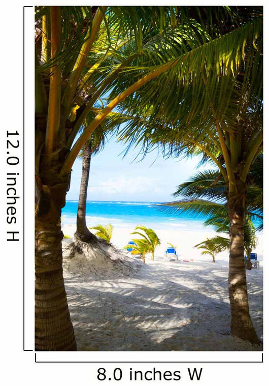 Art caribbean tropical sea beach 