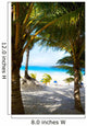 Art caribbean tropical sea beach 
