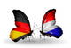 Two Butterflies with Flags Germany and Holland Wall Decal