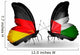 Two Butterflies with Flags Germany and Palestine Wall Mural