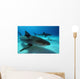 Tiger Sharks Tiger Beach Wall Decal