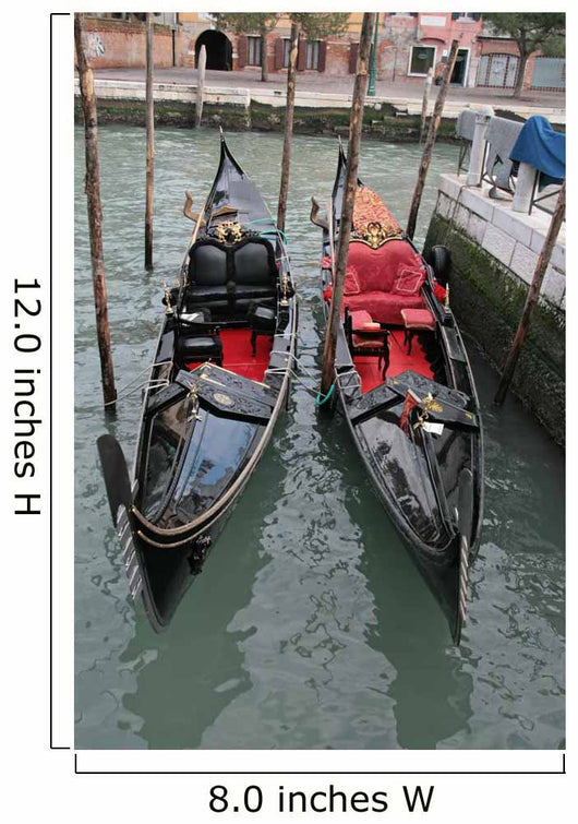 Pictures of Real Typical Boat of Venice 