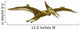 Pterodactyl Wall Decal