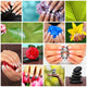 Stylish fingernails collage 