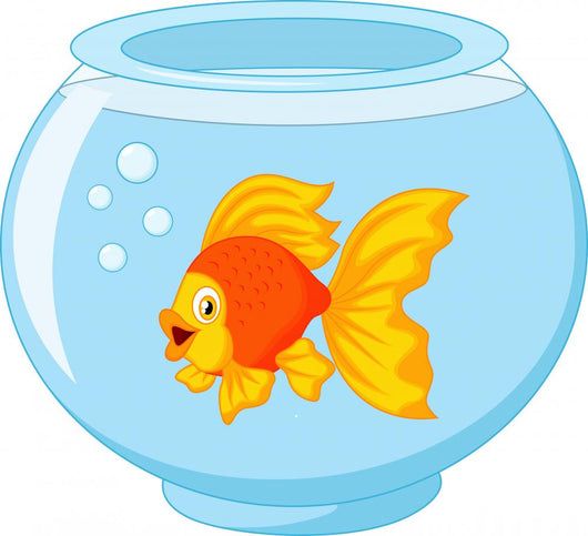 Gold fish in aquarium Wall Decal