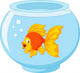 Gold fish in aquarium Wall Decal