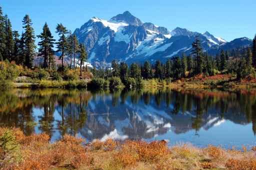 Picture Lake Wall Decal