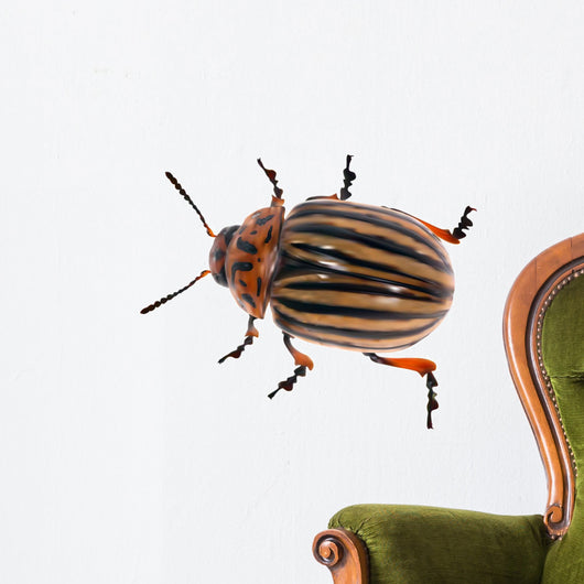 illustration with single colorado potato beetle Wall Decal