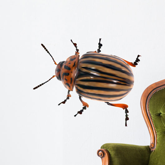 illustration with single colorado potato beetle Wall Decal