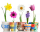 Colorful Spring Flowers in Fun Ceramic Containers Wall Decal
