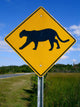 Panther-Crossing Road Sign in Florida Wall Mural