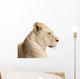 Waiting lioness Wall Decal