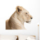 Waiting lioness Wall Decal