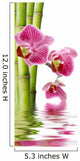 Orchid Flower 