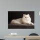 White cat relaxing 