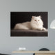White cat relaxing 