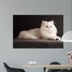White cat relaxing 