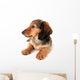 Dachshund Puppy Wall Decal